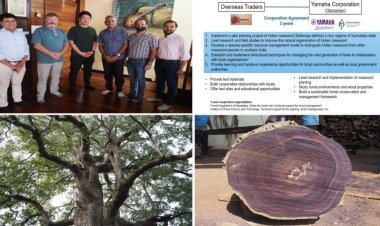 Yamaha ने Overseas Traders के साथ मिलकर भारतीय रोज़वुड के टिकाऊ वन संरक्षण को बढ़ावा दिया
